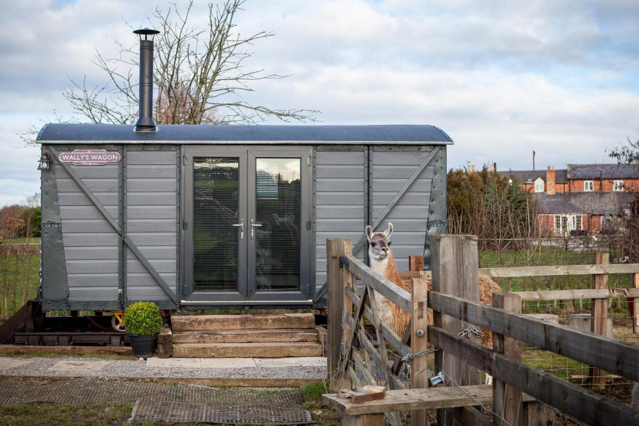 Skipbridge Farm Glamping Villa Green Hammerton Esterno foto